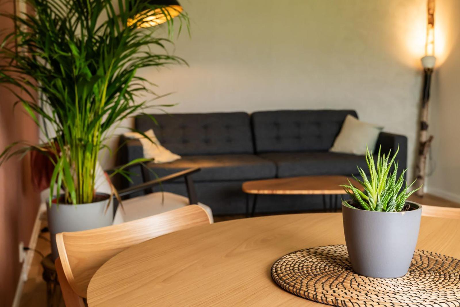 Glaskogen Apartments Glava 外观 照片